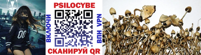 Галлюциногенные грибы прущие грибы  Чёрмоз 